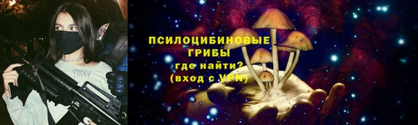 прущие грибы Богородск
