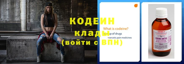 прущие грибы Богородск