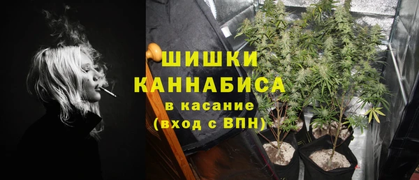 прущие грибы Богородск