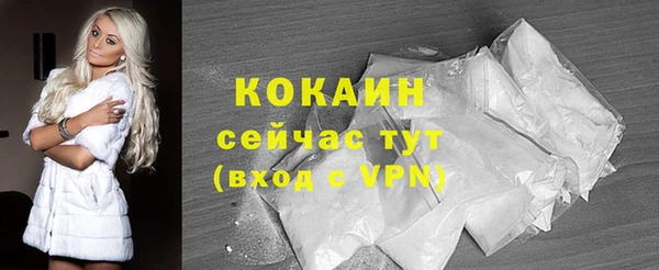 прущие грибы Богородск